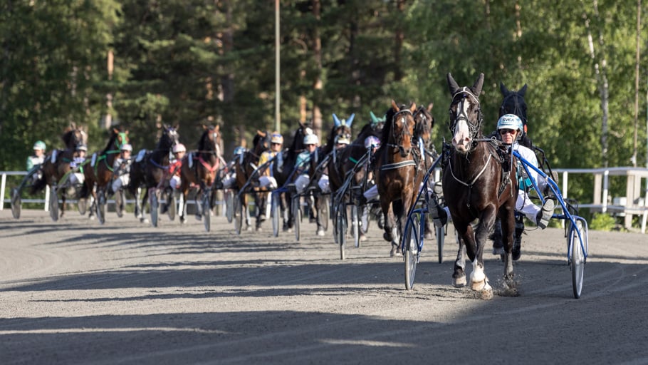 Defilering kallblod Rättvik.jpg